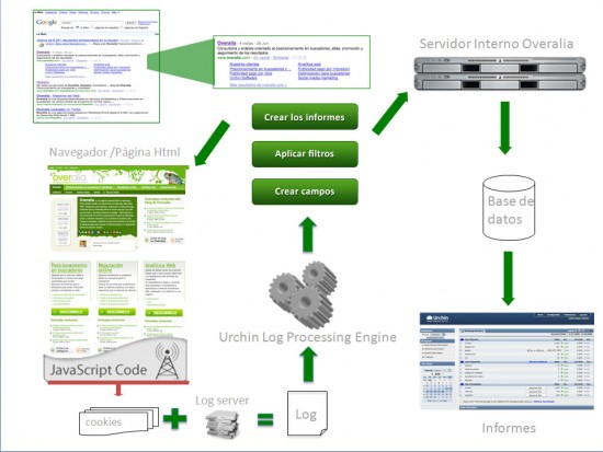 Proceso de generación de informes en Google Urchin Google Urchin recoje datos de dos fuentes de datos. El tag de Javascript y el log del servidor. Los unifica mediante un proceso en un único archivo de log y a partir de este archivo genera los campos en la base de datos, aplica los filtros y genera los informes en el interface de la herramienta.