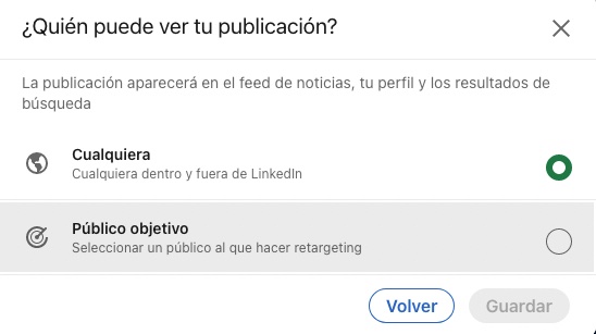 Segmentar publicación orgánica en LinkedIn